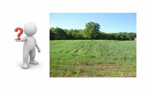 Orman içinde ve dışında kalan taşınmaz malların kadastrosu!