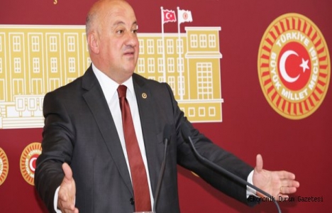 Artvin'deki tarihi eserler meclis gündeminde!