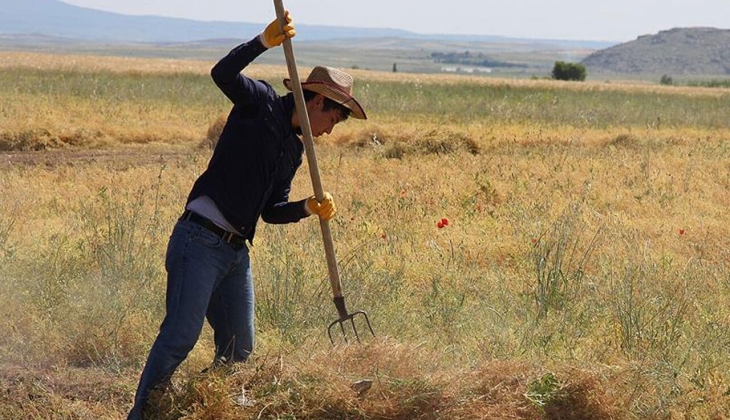 Üreten çiftçi kazanmıyor aracı ve market kazanıyor! İşte İstanbul ve Antalya Hali 22 Nisan 2022 fiyat listesi