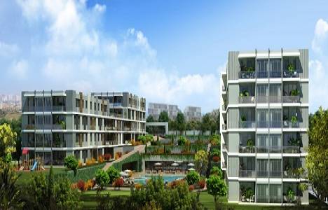 Kurtköy Beşyıldız Novella resimleri!