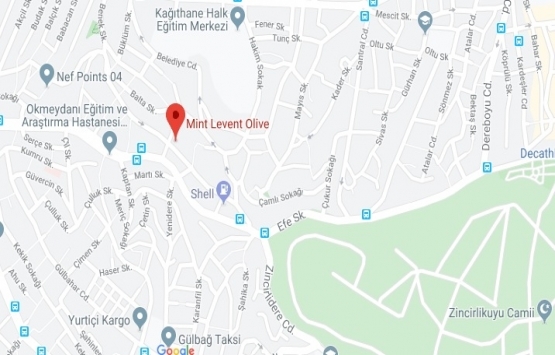 Mint Levent Olive projesi geliyor! Yeni proje!