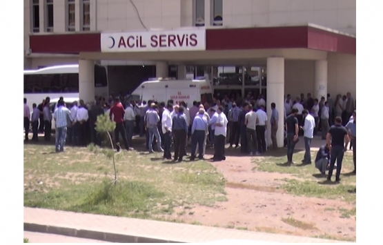 Muş'ta arazi kavgası: 5 yaralı!