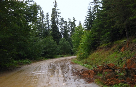 Bolu-Yedigöller yolu ulaşıma kapatıldı!