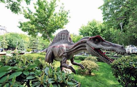 10 karede Ankapark Temapark turu!