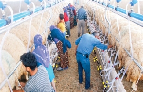 TİGEM tesis yatırımları yapacak!