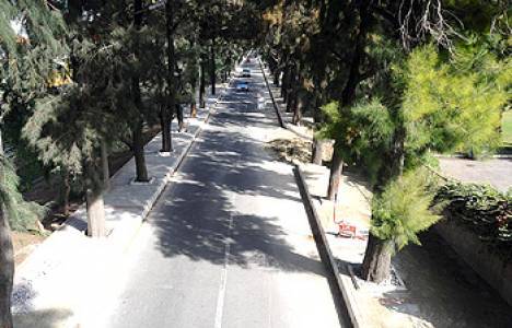 Bornova'daki yeşil alan satışına tepki geldi!