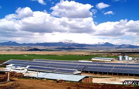 yingli solar güneş panelleri