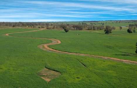 Arsa sahibinden mi yoksa emlakçıdan mı alınmalı?