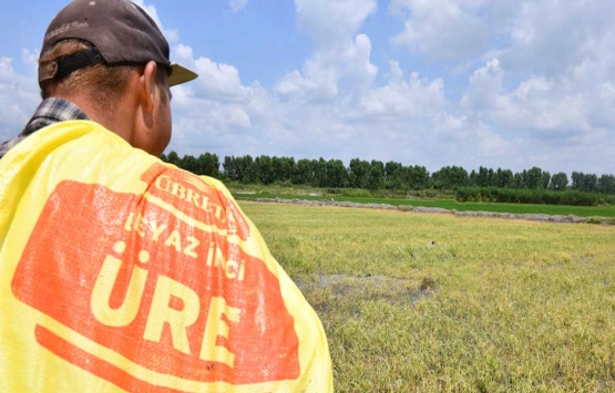 Tarım Kredi’den gübre fiyatlarında yüzde 30 indirim müjdesi