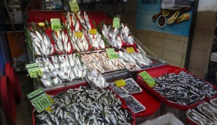 Bu mevsimde bollaşması beklenen lüferde şok! Fiyatını duyunca “yok artık” diyeceksiniz!