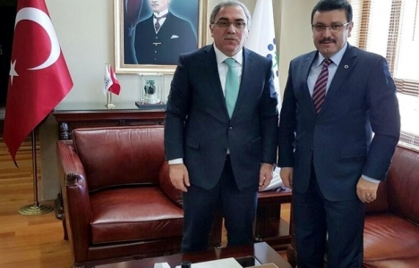 trabzon pelitli toki konutları