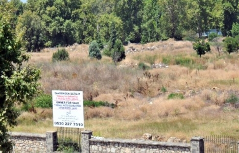 Yalova Kent Konseyi Arboretum'a konut istemiyor! 