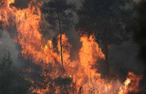 Milas'ta çöp depolama alanındaki yangın ormanlık alana sıçradı!