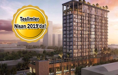 Benesta Basın Ekspres projesi geliyor! Yeni Proje!