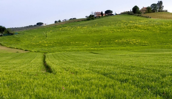 Milli Emlak'tan 30 bin TL'ye arsa satışı başlıyor...