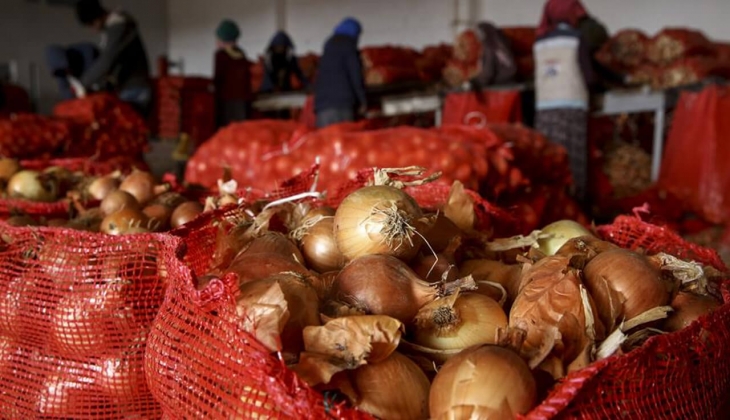 Haftanın ürünü seçilen soğanın kg fiyatına büyük indirim! İşte 4 Nisan 2022 zincir marketlerin fiyat listesi!