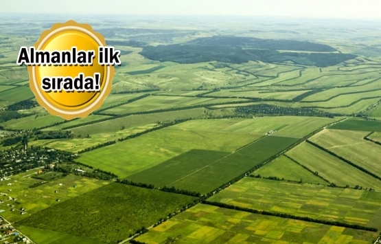 Yabancılar ilk 6 ayda 3.1 metrekare arazi satın aldı!