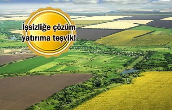 Hazine arazisi esnafa 49 yıllığına kiralanacak!