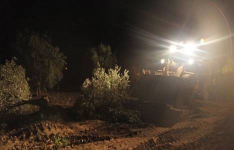 Soma zeytinlikte imar planı da yok!