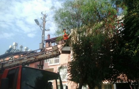 Antakya Belediyesi parkları düzenliyor!