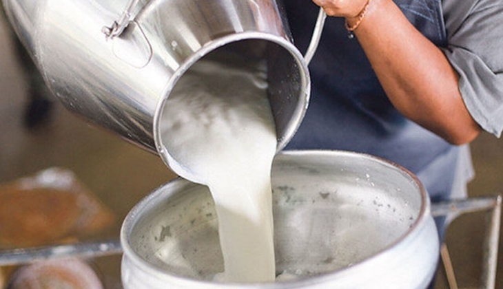 Tarım ve Orman Bakanlığı açıkladı! Çiğ süt desteği kimlere ödenecek?