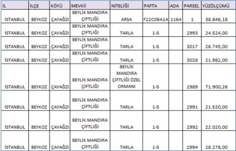 Yapı Kredi Koray GYO Riva daki arsalarını satıyor!