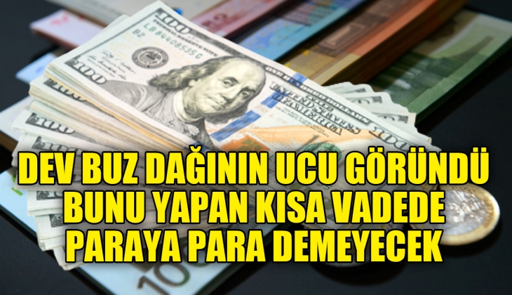 Dev buz dağının ucu göründü! Bunu yapan kısa vadede paraya para demeyecek