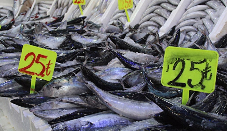 Palamutun bereketi raflara yansıdı, 25 TL ye kadar düştü!