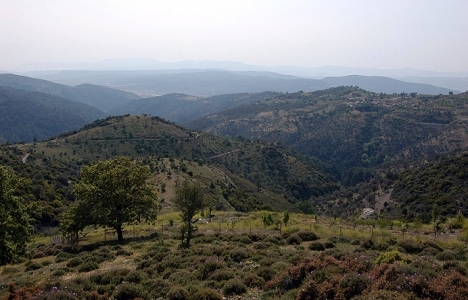 Çatalca'da satış memurluğundan 2.8 milyon TL'ye 5 tarla!