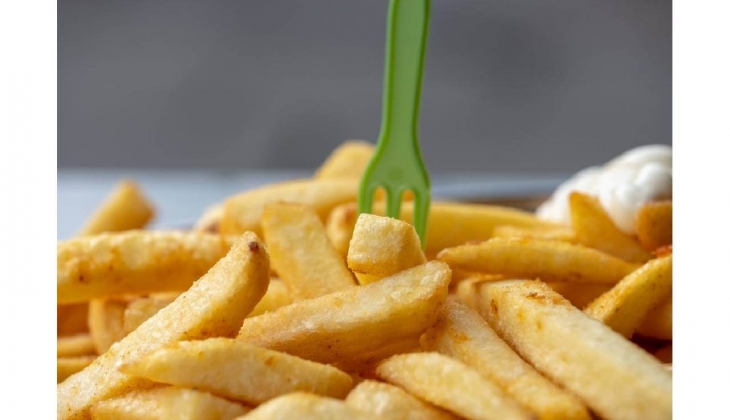 Homend 2506H Yağsız Fritöz AirFryer kaç TL, özellikleri ne? 18 Nisan 2023 fiyat listesi...