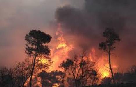 Avustralya’daki yangınlar kontrol altına alınamıyor!