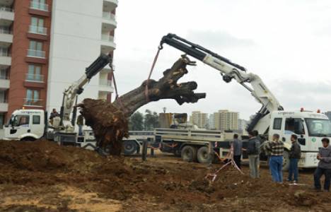 Nazım Biçer: Gençlik Merkezi yanlış yere inşa ediliyor!
