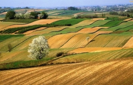ehil mirasçı nedir