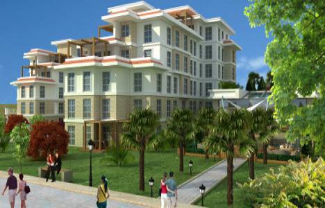 Zin D Natura resimleri!