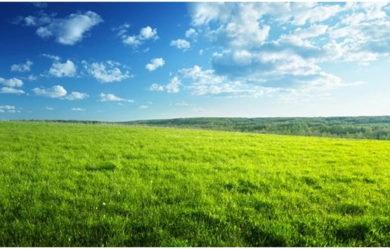 Beypazarı Belediyesi arsalarını satarak kazanç elde edecek!