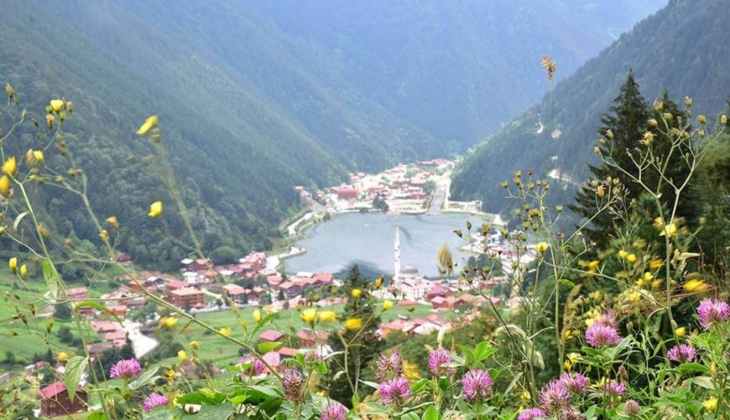 Evlerini günlük kiraya veren yabancılar yasak tanımadı! Aldıkları evin parasını şimdiden çıkardılar!