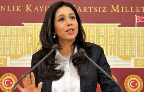 Cihangir Roma Bahçesi'ndeki sosyal tesis inşaatı meclis gündeminde!