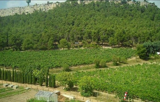 AOÇ'deki imar planı değişikliği yargıdan döndü! 