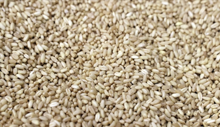 TMO nun buğday stoku yeterli mi? Çiftçiler dikkat! Buğday çok yüksek fiyattan mı alınacak?