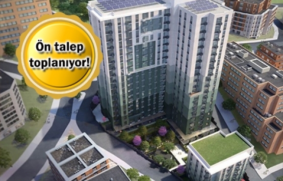 Mint Levent Olive projesi geliyor! Yeni proje!