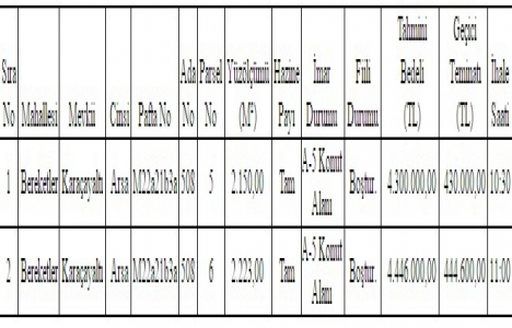 Denizli de 8.7 milyon TL ye satılık 2 arsa!