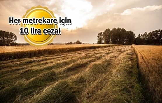 Tarım arazisinde kaçak yapı yapanlara ağır yaptırımlar geliyor!