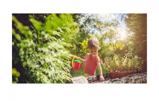 Sinpaş Koru Aura fiyat!