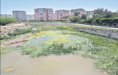 Mersin Mezitli Deresi temizlenecek!