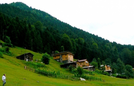 TOKİ Ayder Yaylası ihalesi yapılacak!