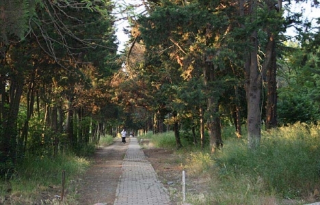 Üsküdar Belediyesi: Validebağ'da yürütmeyi durdurma kararı yok!