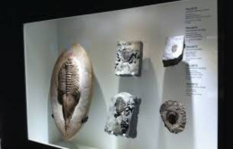 Antalya'da Türkiye'nin ilk interaktif doğa müzesi kuruluyor!