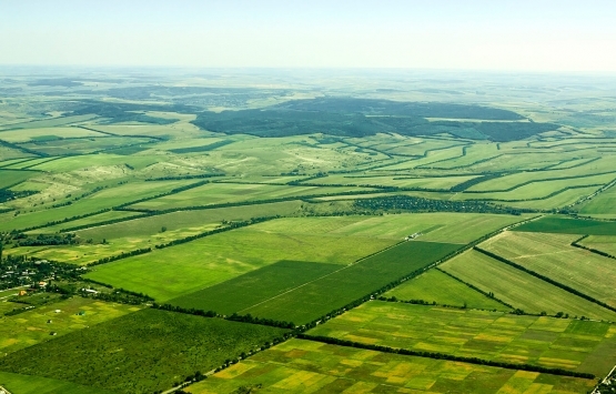 Sarıyer'de 25.7 milyon TL'ye icradan satılık tarla!