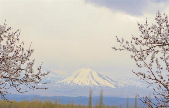 Iğdır da 22.7 milyon TL ye satılık gayrimenkul!