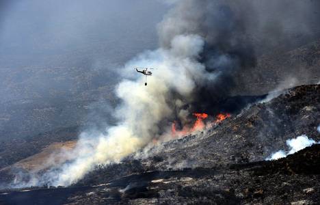 ABD'de 9 ayrı noktada orman yangını çıktı!